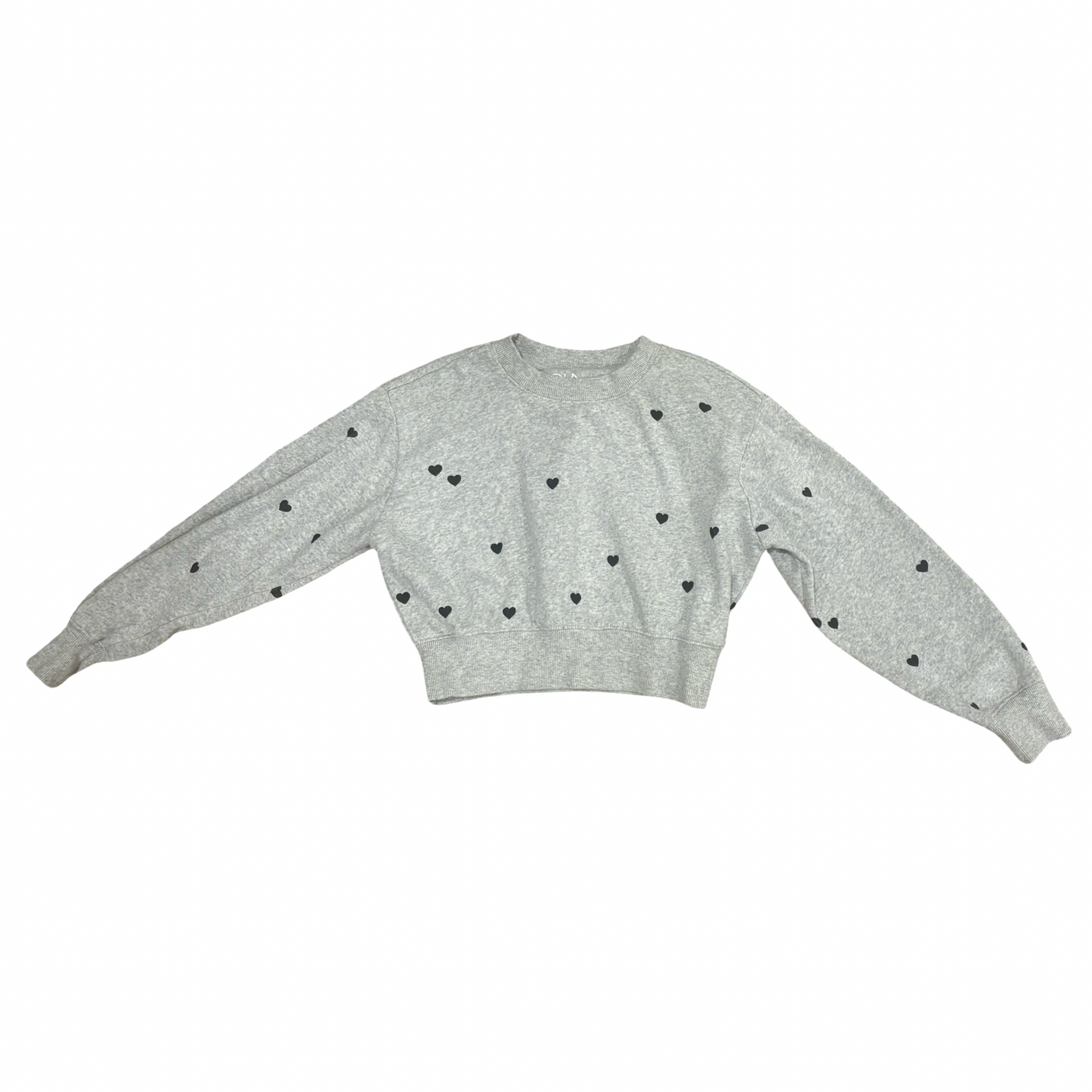 Chaser Crop Sweatshirt (10)