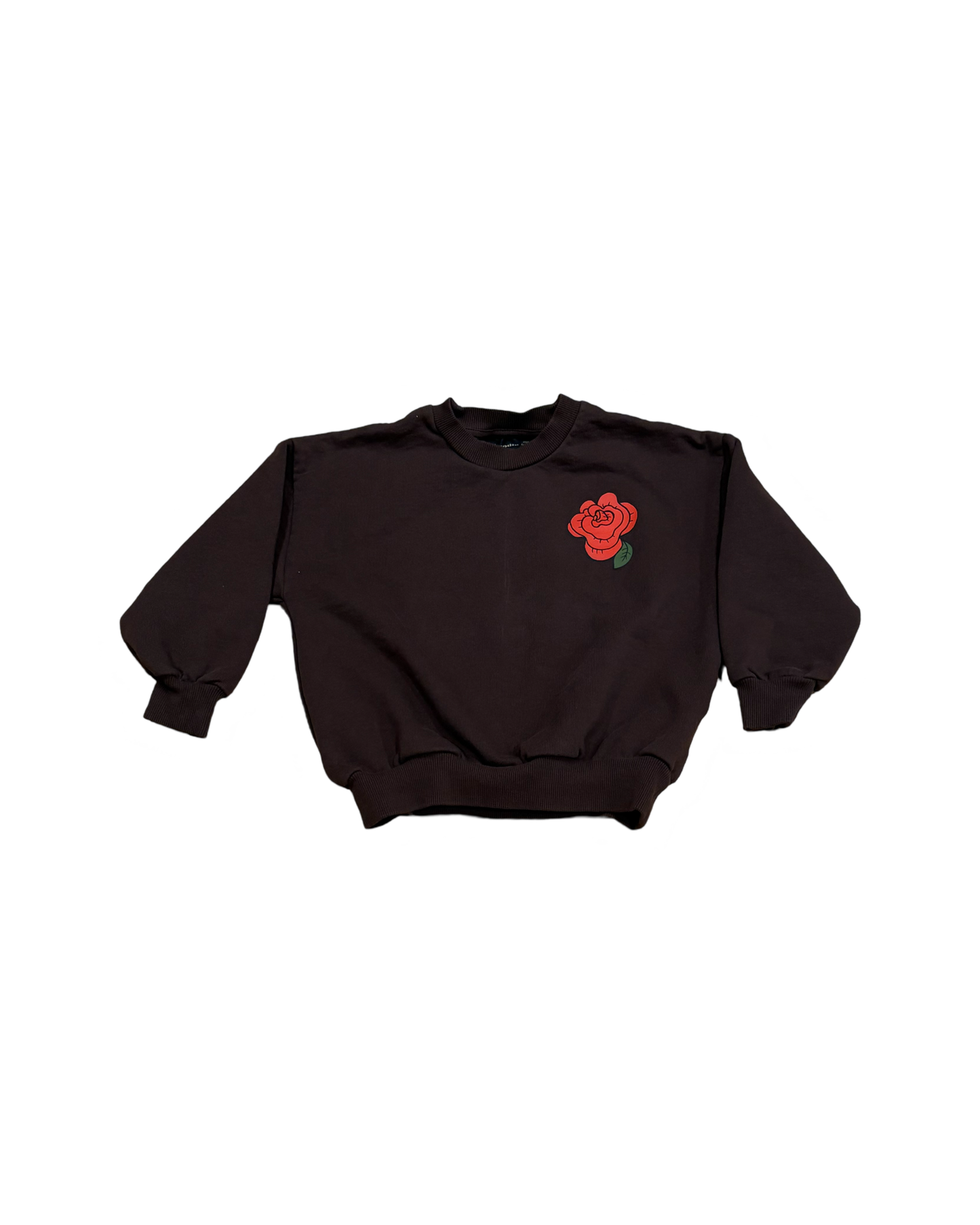 Mini Rodini Sweatshirt (3-5)