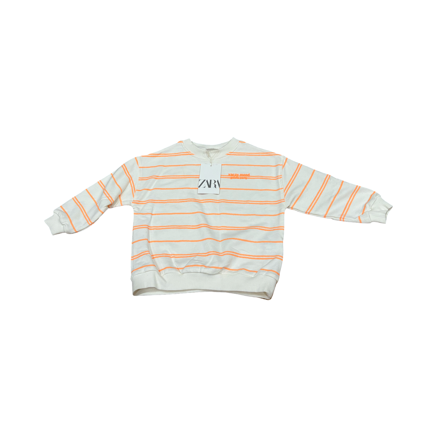 Zara Sweatshirt (4/5) *NWT