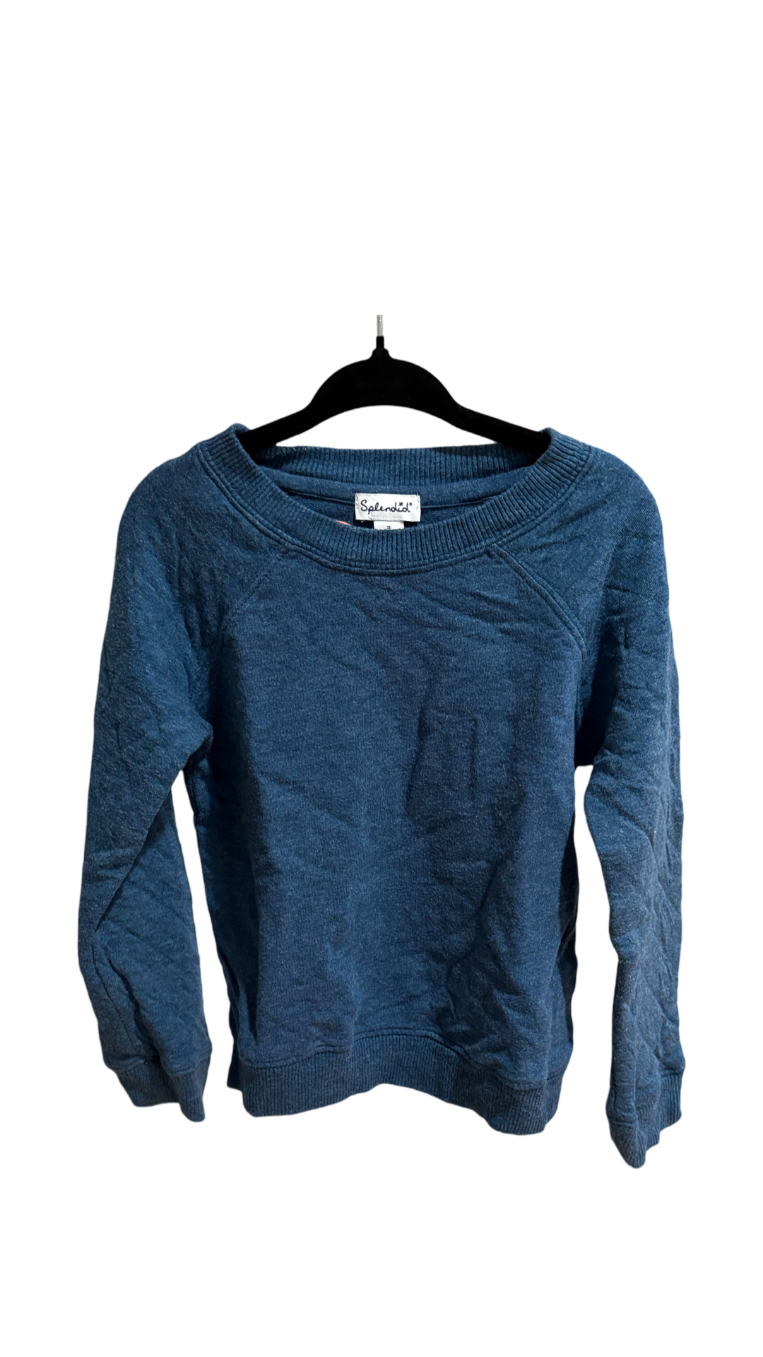 Splendid Sweatshirt (3)