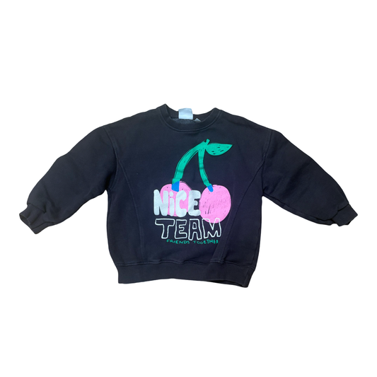 Zara Sweatshirt (3/4)