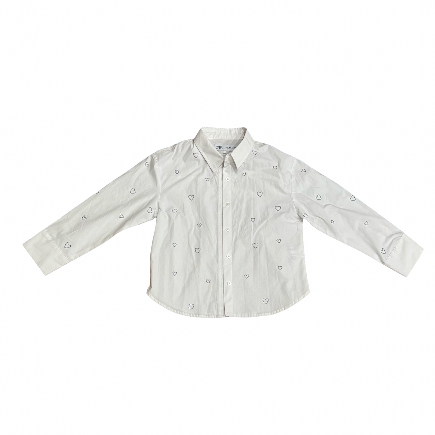 Zara Button Down (8/9)