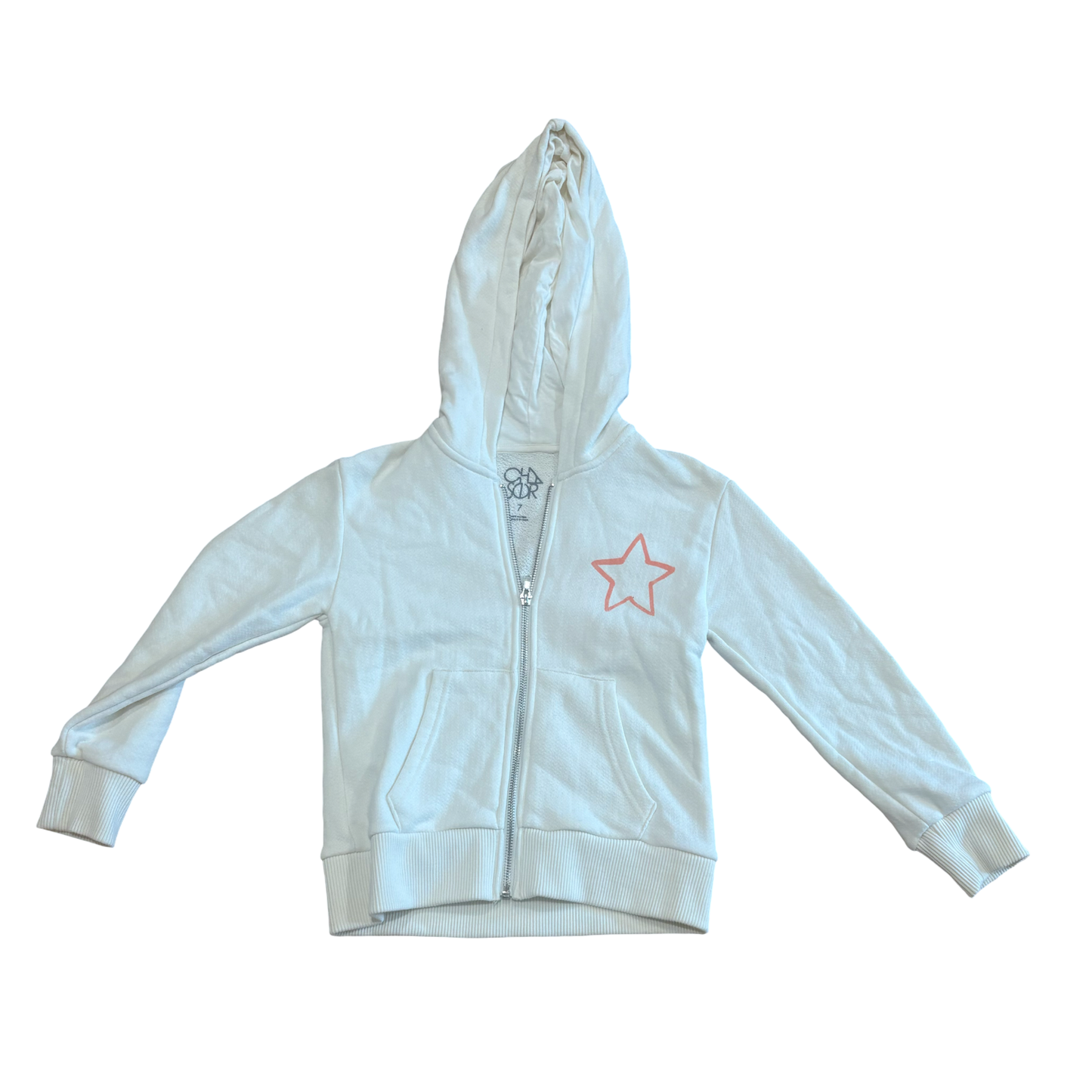 Chaser Zip-Up Hoodie (7)