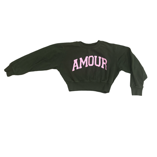 Chase Crop Sweatshirt (10)